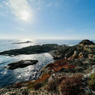 Point Lobos, 皇冠上的珍珠...
