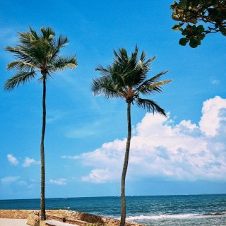 波多黎各｜必去的海滩推荐🍨享受Beach...