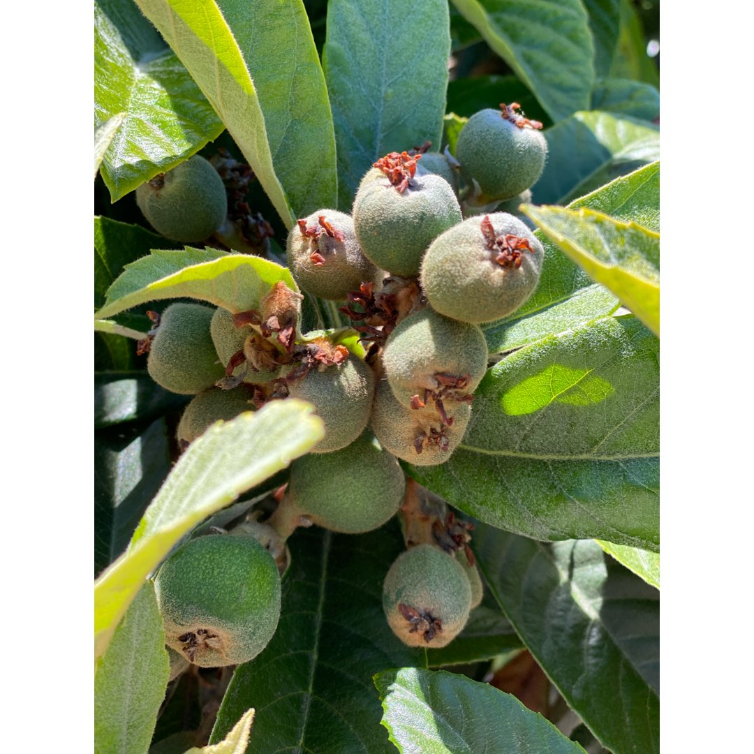 Imgcache Dealmoon Com Fsvrugccache Dealmoon Com