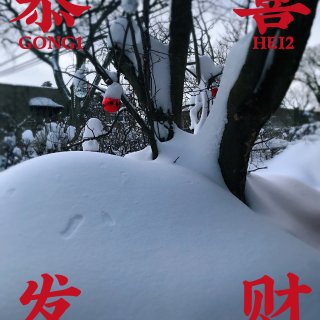 暴雪照丰年｜招财神🧧🧧🧧🧧...