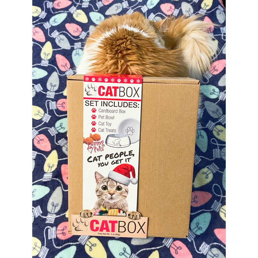 9. cat box