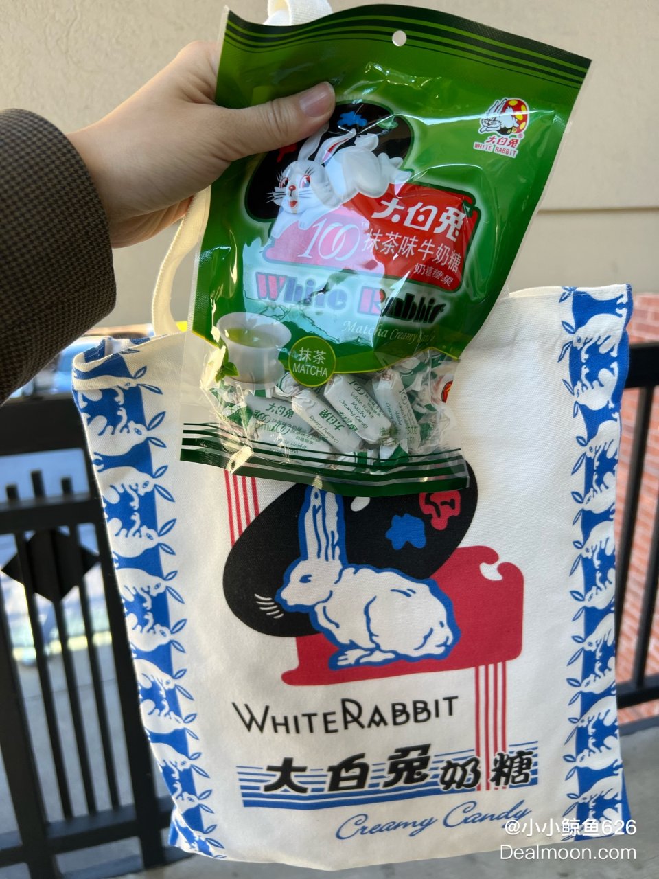 White Rabbit,World Market