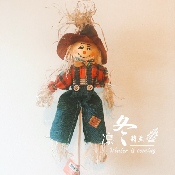 晒货图片