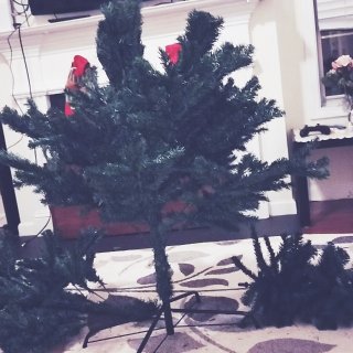 7.5ft漂亮的大圣诞树...