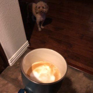 Nespresso citz 咖啡奶泡机...