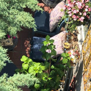 曼岛屋顶花园摆个摊，晒晒太阳☀️看看风景...