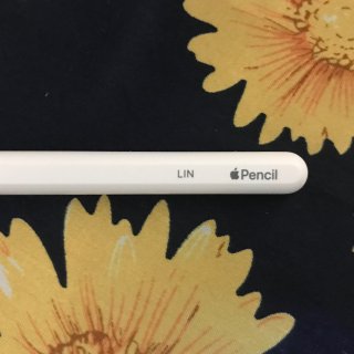 Apple Pencil 2-你想知道的...