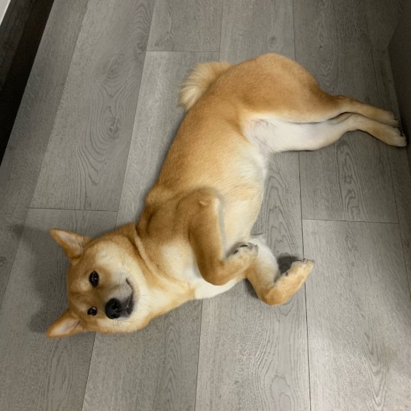 晒货图片