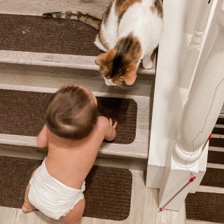 寶寶和兩隻貓主子的療癒相處時刻...
