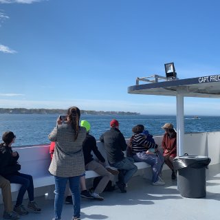 Cape Ann Whale Watch - Up To 49% Off - Gloucester, MA | Groupon