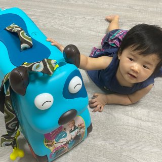 B. toys 儿童可牵拉、可坐便携箱