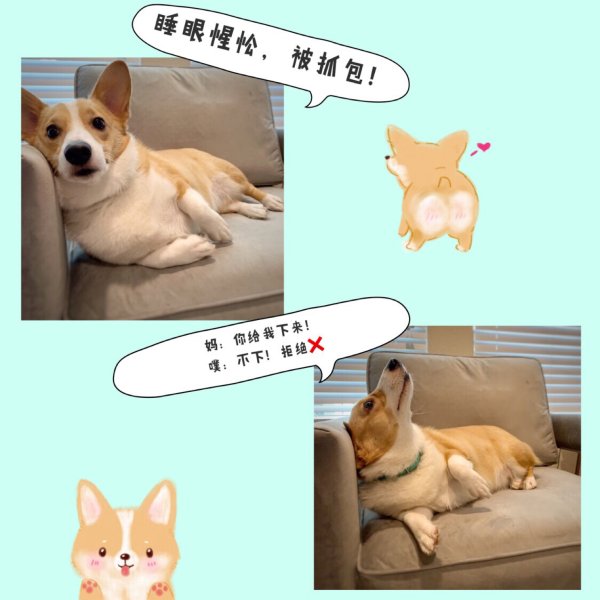 晒货图片