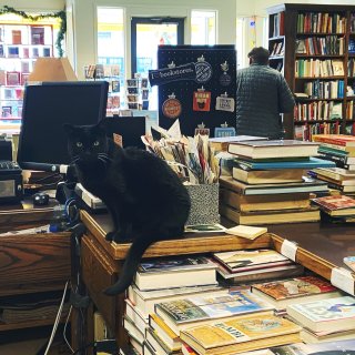 Lawerence Local-猫猫书店...