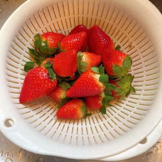 新发现/Astin Farm草莓🍓也很甜...