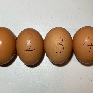 不同养殖方式的鸡蛋 大比拼...