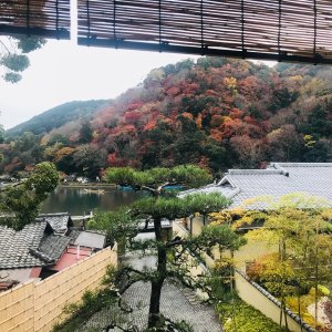 非常❤️京都的后花园—岚山！推荐2家酒店和网红餐厅