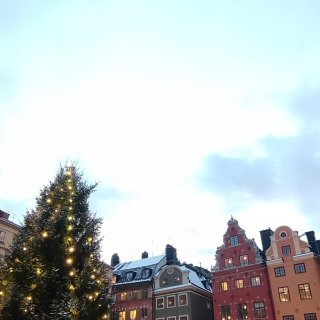 圣诞集市 | 斯德哥尔摩...