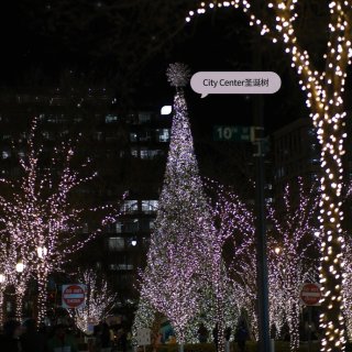 寻找华盛顿DC圣诞树🎄city cent...
