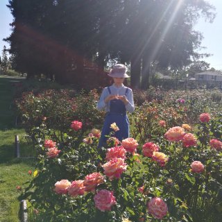 玫瑰花园🌹又香又美...