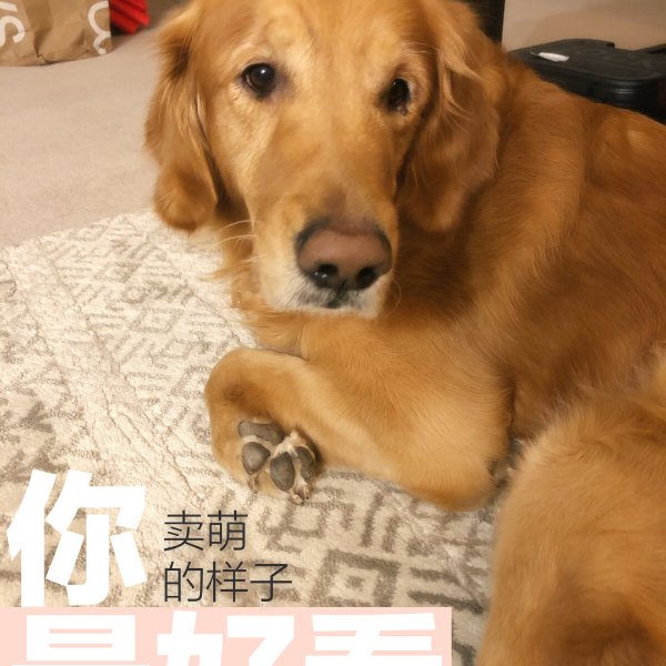 晒货图片