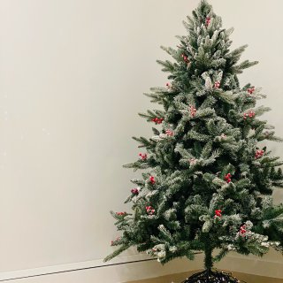 新家第一棵圣诞树🎄...