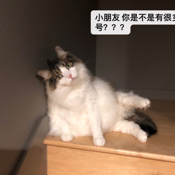 晒货图片