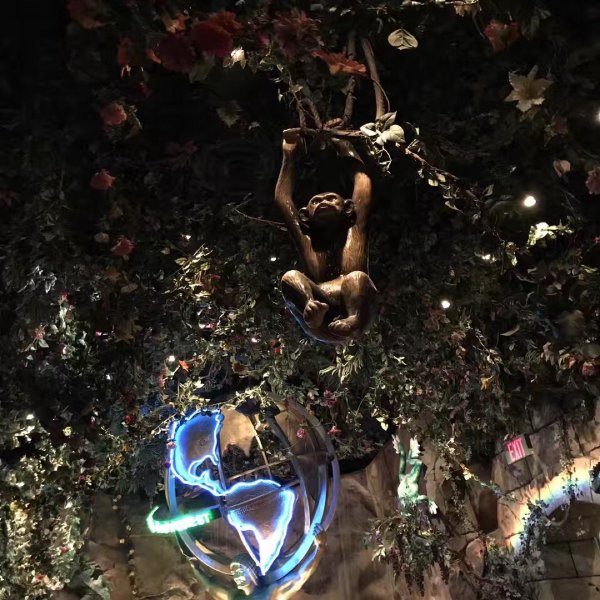 Rainforest Cafe