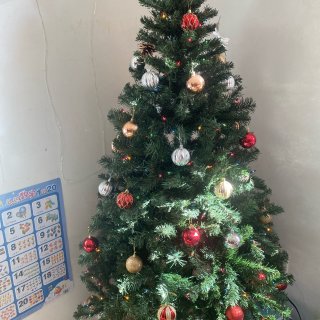 第一个有圣诞树的圣诞节🎄...
