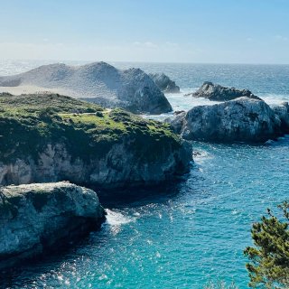 湾区周末好去处——Point Lobos...