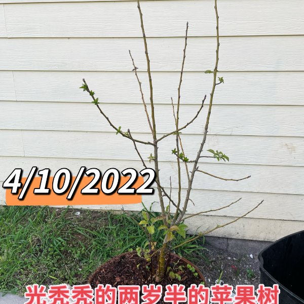 晒货图片
