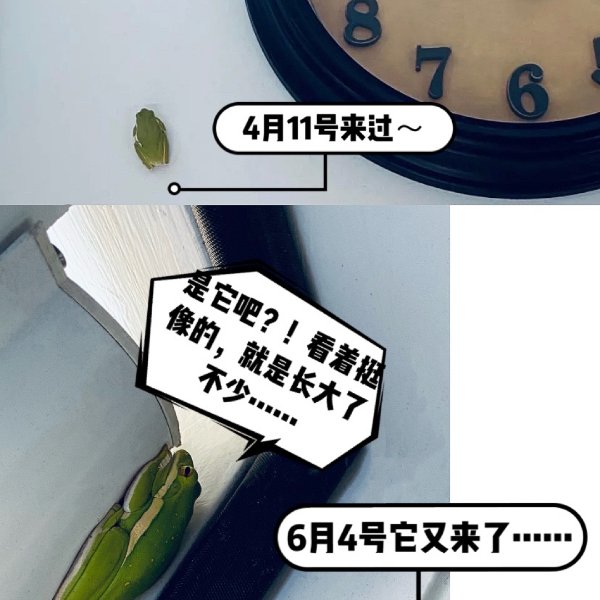 晒货图片
