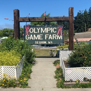 西雅图周边 | 奥林匹克动物园🦌🐂🦓...