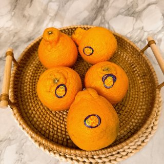 sumo Citrus 美国好吃的丑橘🍊...
