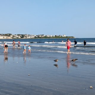 八月的快乐是一家人去海边🏖️玩！...