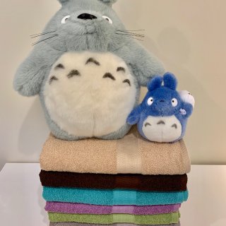 Totoro,Japan