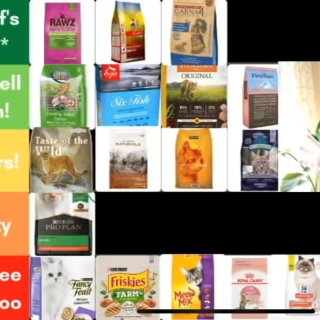 Pet Nutritionist Ranks Cat Foods | Purina, Orijen, Fancy Feast, and More! - YouTube