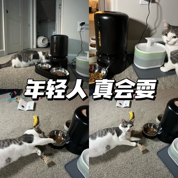 晒货图片