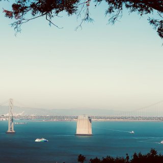 旧金山网红拍照圣地...
