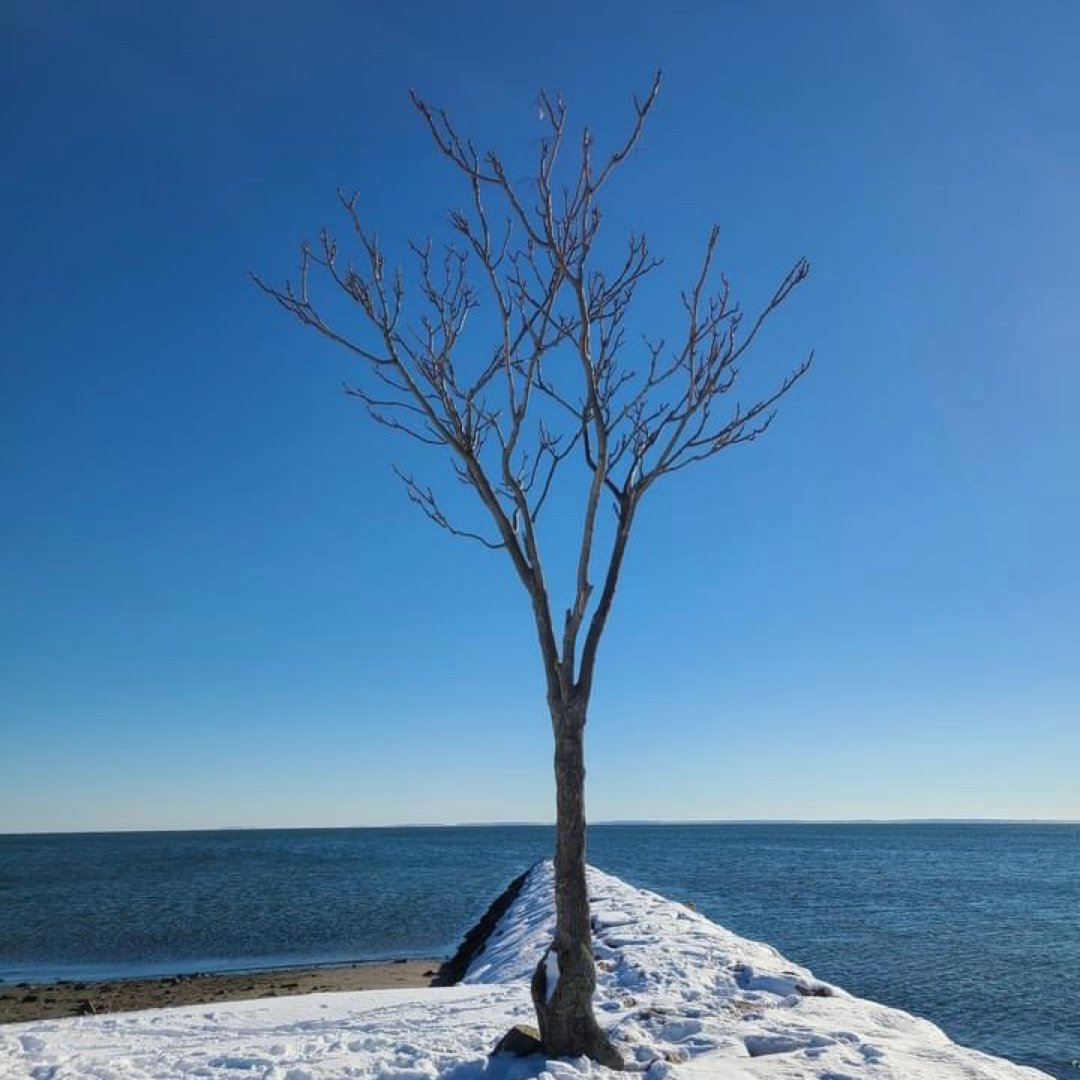 紐約周邊遊｜銀沙州立公園 · 雪後的藍天...