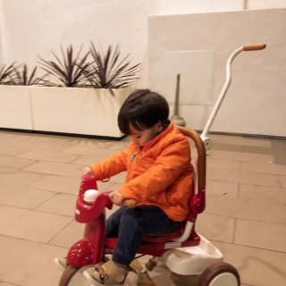开启众测的一年...