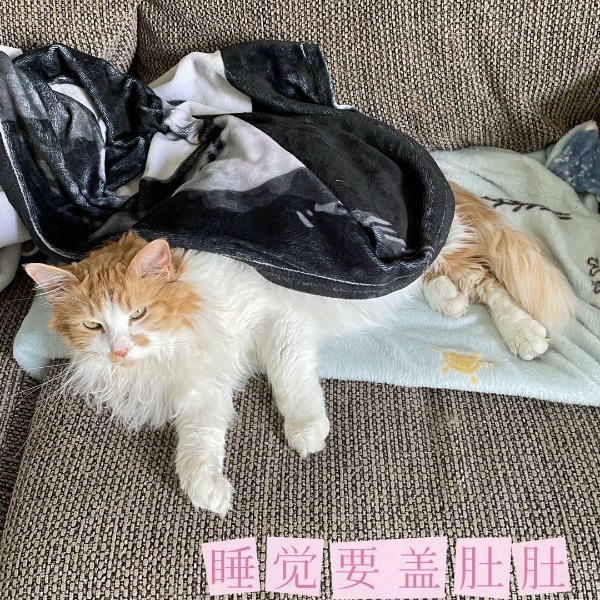 晒货图片
