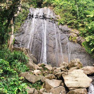 「波多黎各旅游」厄尔尼诺云雀国家森林公园...