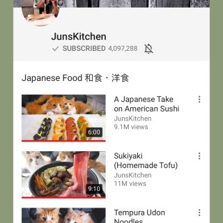 日本料理,猫咪控