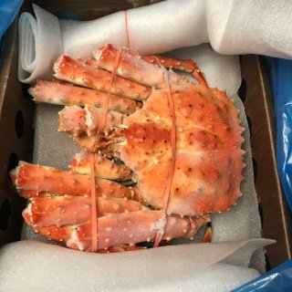 king crab,帝王蟹