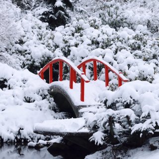西雅图Kubota Garden雪景大赏...