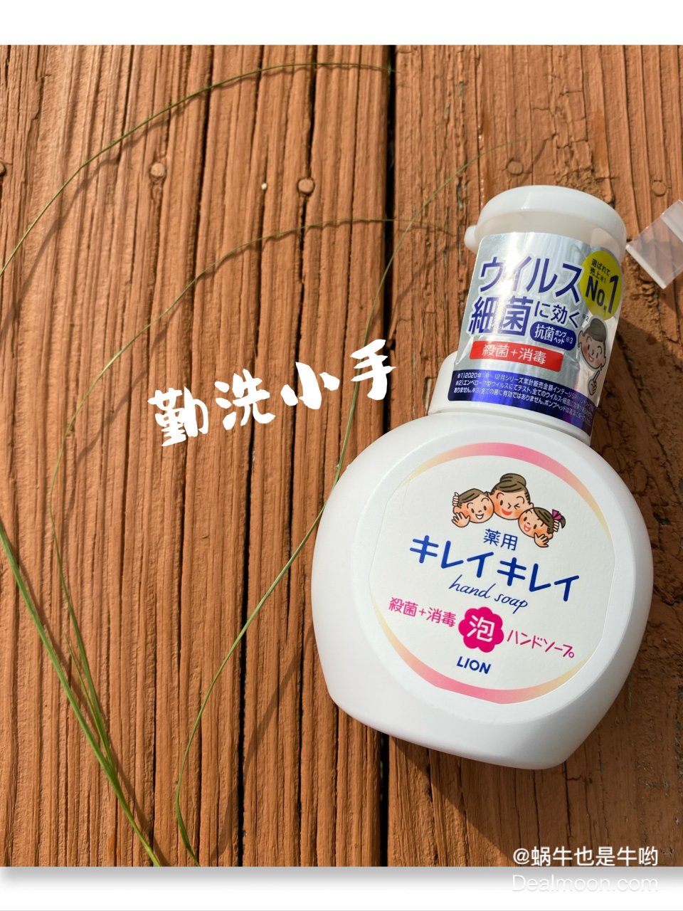 日本LION狮王 泡沫洗手液温和型 药用杀菌消毒 儿童洗手液 淡香型 250ml