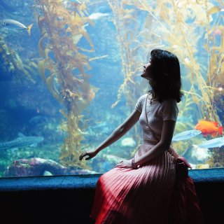 圣地亚哥水族馆探秘—关于海龙的世界...