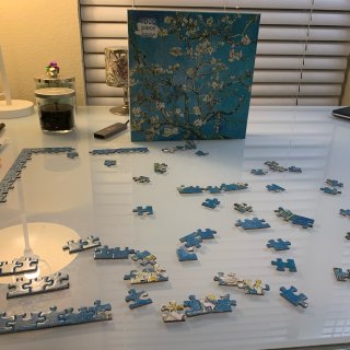 在家玩puzzles
