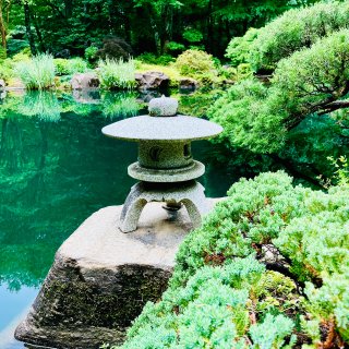 亚特兰大🌲GIBBS花园里的日本花园美不...