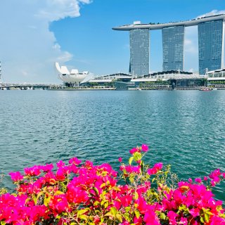 美丽的⛲️新加坡🦁️Merlion🐟公园...